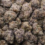 Wholesale - Blackberry - AAAA