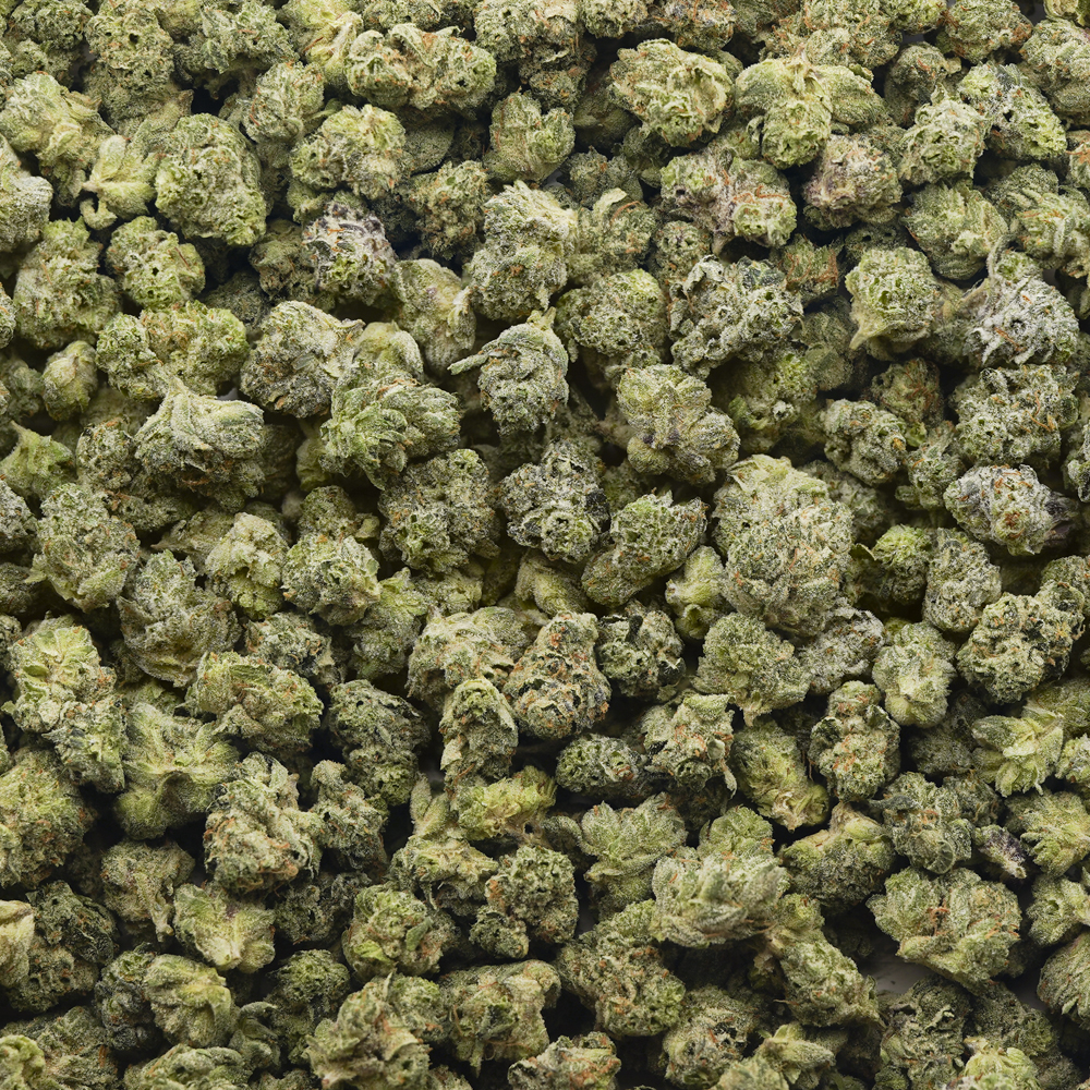 buy-weed-online-dispensary-pluto-craft-popcorn-wholesale-1.jpg