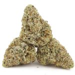 Forbidden Dream AA - Indica - Image 2