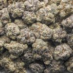 Jordanz Craft - Hybrid - Image 3