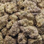 Kool Aid Kush AAA - Indica - Image 3