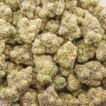 Lemon Poppers AAA - Hybrid - Image 3