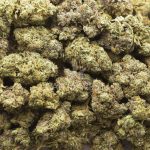 Lucky Charms AAA - Hybrid - Image 3