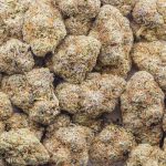 Pink Nerdz AAA - Hybrid - Image 3