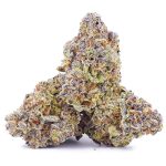 Purple Dream AA - Hybrid - Image 2