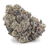 Purple Fanta Craft - Hybrid
