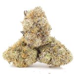 Shirley Temple AAA - Indica - Image 2