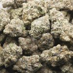 Blueberry SinMint Craft - Indica - Image 3