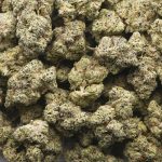 Wholesale - Donkey Butter - AAAA