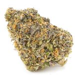 Black Cherry Pie AA - Hybrid