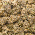 Black Cherry Pie AA - Hybrid - Image 3