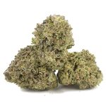 Wholesale - Green Goo - A - Image 2