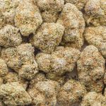 Pink Drink AA - Hybrid - Image 3