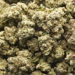 Wholesale - Skywalker OG - AAAA