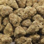 Unicorn Haze AA - Hybrid - Image 3