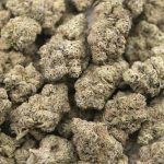 Frosted Gumbo AAAA - Indica - Image 3