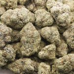 Han Solo Burger Craft - Indica - Image 3