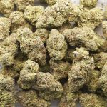 Wholesale - Malibu Sunset - AAAA