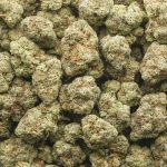 Wholesale - Monkey Breath - AAAA