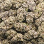 Wholesale - Pink Rockstar - AAAA