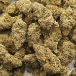 Pirate Cake AA - Indica - Image 3