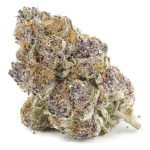 Purple Push Pop AAAA - Hybrid