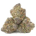 Purple Push Pop AAAA - Hybrid - Image 2