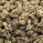 Purple Push Pop AAAA - Hybrid - Image 3