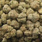 Strawberry Diesel AA - Hybrid - Image 3