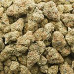 Wholesale - Animal Mints - AA