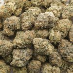 Cadillac Cookies AA - Indica - Image 3