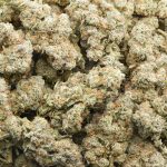 Wholesale - Dragon OG - AAA