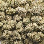 Wholesale - Firestorm - AAA