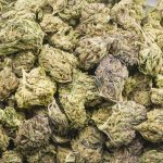 Wholesale - God's AK-47 - A