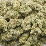 Wholesale - Pink Jesus - AA