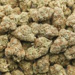 White Louis AA - Hybrid - Image 3