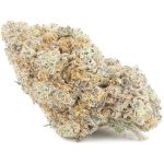 Wholesale - Big Foot Glue - AAAA - Image 3