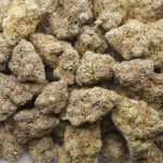 Wholesale - Big Foot Glue - AAAA