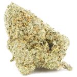 Wholesale - Phat Gary - AA - Image 3