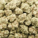 Pineapple Aloha AA - Sativa - Image 3