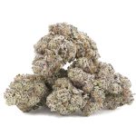 Purple Unicorn AAAA - Hybrid - Image 2