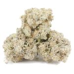 Wholesale - Shark OG - AAAA - Image 2