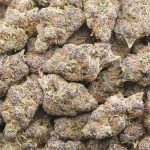 Wholesale - Watermelon Kush - AAAA