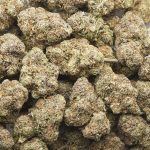 Wholesale - Berry Blast - AAA