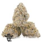 Blue Monkey AAAA - Indica - Image 2