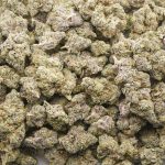 Black Cherry Maduro AAA - Indica - Image 3
