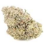 Class Clown A - Hybrid