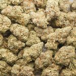 Cookies N Cream AA - Hybrid - Image 3