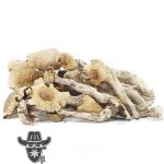 Shrooms - Great White Monsters - Image 2