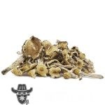 Shrooms - Mazapatec - Image 2